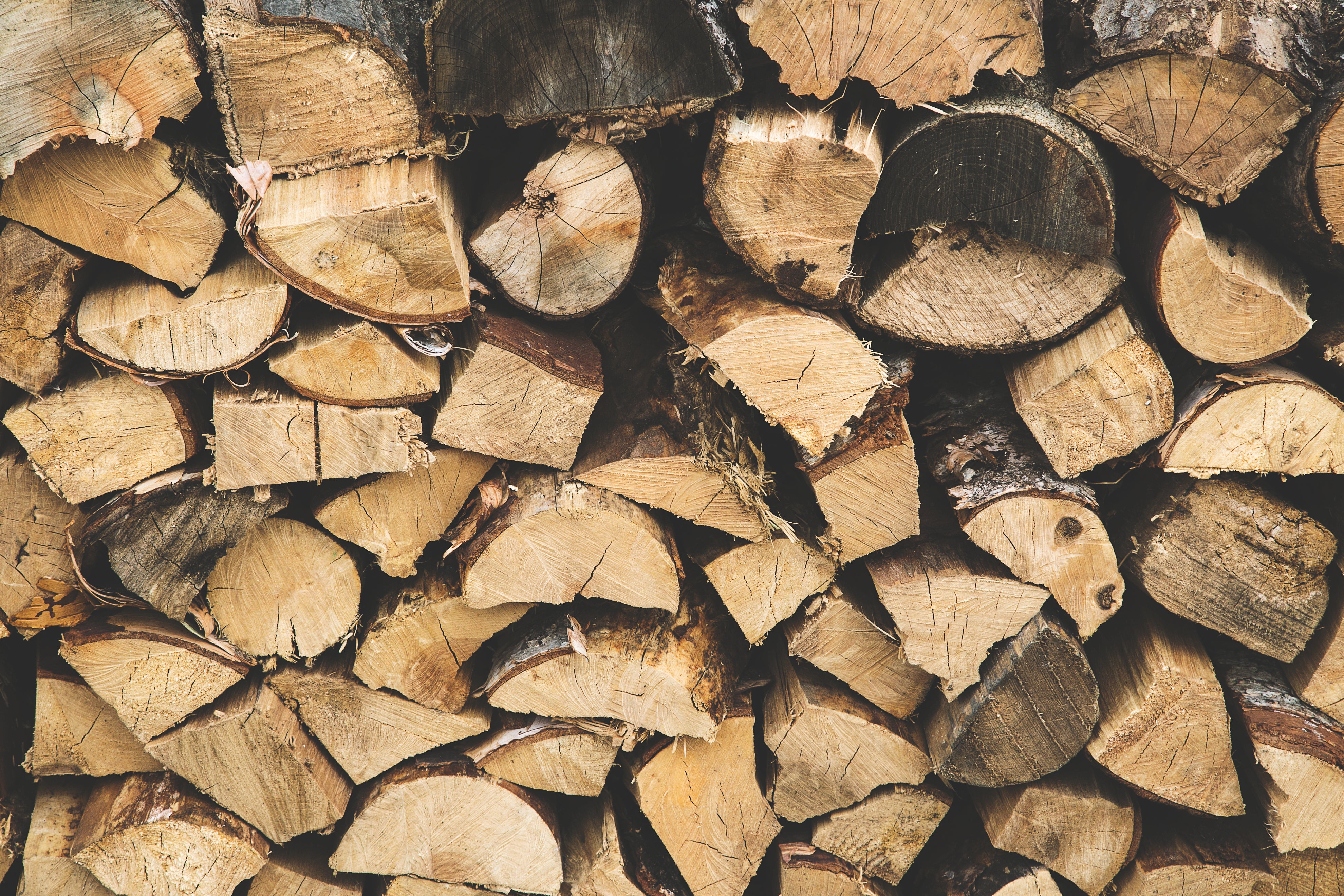 Regionaler Holzhaufen aus Eiche – nachhaltiges Ausgangsmaterial für HolzPart Produkte aus dem Kanton Solothurn.
